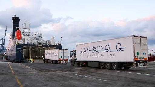 تضم ذرة وفول صويا وعدس.. ميناء دمياط يستقبل 52265 طنًا من البضائع