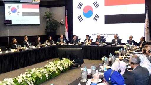 مصر وكوريا الجنوبية تعقدان الاجتماع الأول للجنة الترويج والتعاون الاستثماري