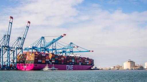 تضم قمح وذرة وفول صويا.. ميناء دمياط يستقبل 79252 طنًا من البضائع