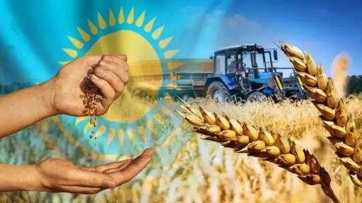 كازاخستان تعيد فرض قيود على تصدير الحبوب لدول الجوار