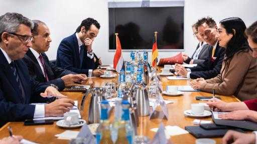 وزير الخارجية يُثمن الدور البناء لألمانيا في دعم المشروعات التنموية بمصر