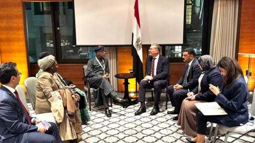 مصر ونيجيريا تبحثان تعزيز التعاون بمجال التعدين