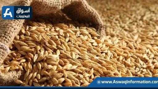 الأردن يطرح مناقصة دولية لشراء 120 ألف طن من علف الشعير الأردن يطرح مناقصة دولية لشراء 120 ألف طن من علف الشعير