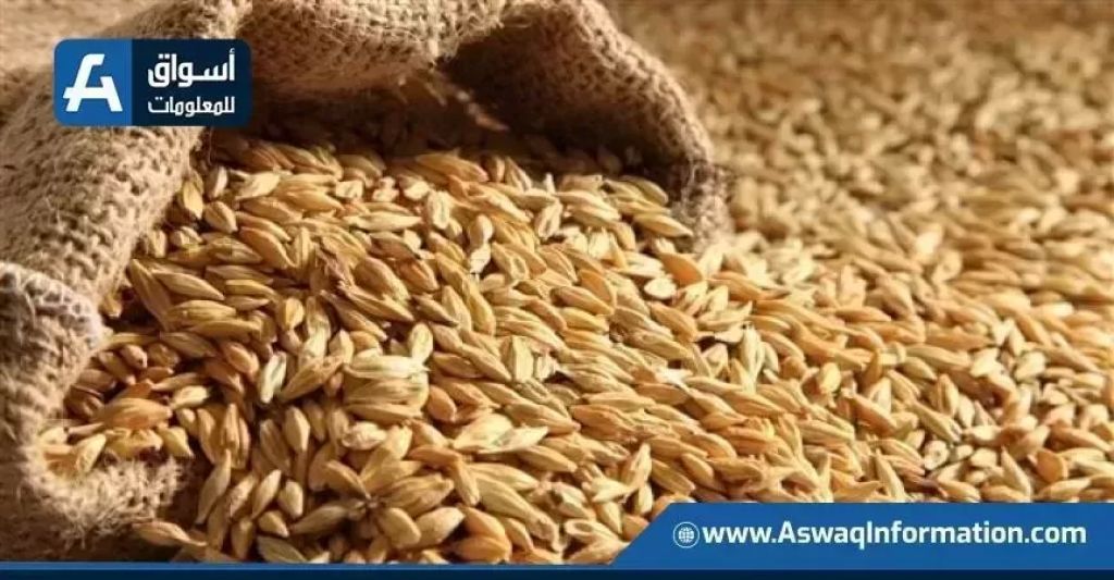 الإنتاج العالمي من القمح