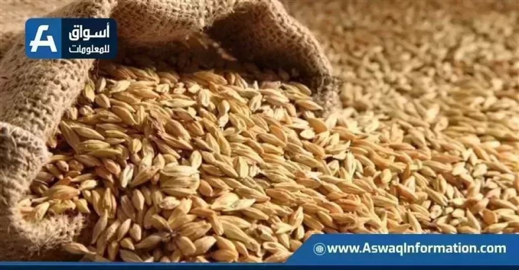 إنتاج القمح عالميا