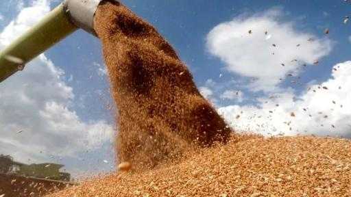 منتدى كازاخستان للحبوب يبحث مستقبل السوق والخدمات اللوجستية