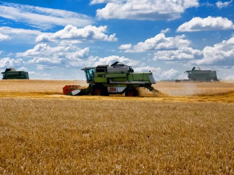 أوكرانيا تصدّر 5 ملايين طن من المنتجات الزراعية في نوفمبر