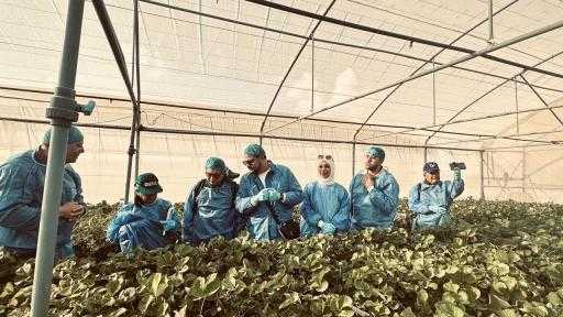 ”الزراعة” تضع اللمسات الأخيرة لفتح السوق أمام صادرات الموالح