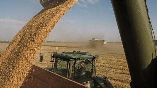 10% رسوم تصدير لتعزيز الصناعات الزراعية في أوكرانيا