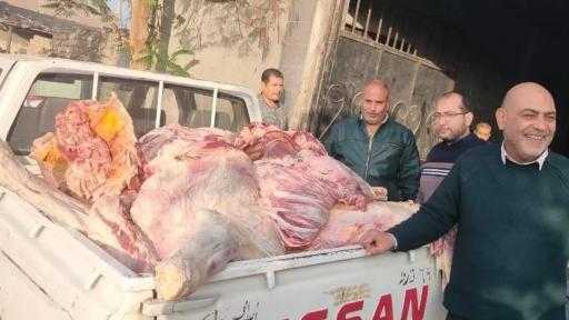 ضبط 650 طن لحوم غير صالحة للاستهلاك الآدمي بالقليوبية