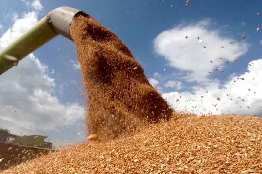 منتدى كازاخستان للحبوب