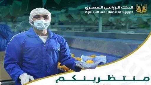 البنك الزراعي المصري يشارك في معرض Food Africa 2025 البنك الزراعي المصري يشارك في معرض Food Africa 2025