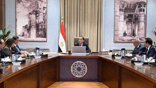 رئيس الوزراء: استمرار إتاحة المزيد من مدخلات صناعة الدواجن.. وتوفير اللحوم بالكميات والأسعار المناسبة