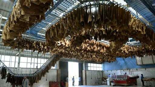 ”القاهرة للاستثمار”: المرحلة الثالثة من مدينة الجلود بالروبيكي تضم 57 مصنعًا و29... ”القاهرة للاستثمار”: المرحلة الثالثة من مدينة الجلود بالروبيكي تضم 57 مصنعًا و29 ورشة