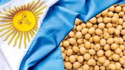 الأرجنتين تُخفض الرسوم الجمركية على صادرات فول الصويا والذرة والقمح الأرجنتين تُخفض الرسوم الجمركية على صادرات فول الصويا والذرة والقمح