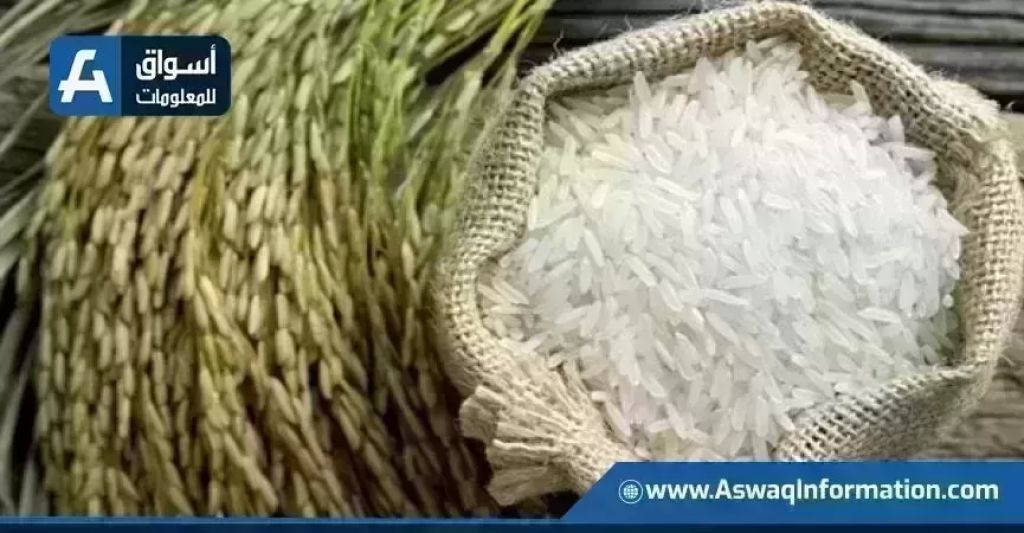 صادرات الأرز