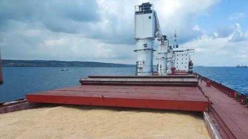 ممر أوكرانيا البحري يقترب من تصدير 100 مليون طن حبوب ممر أوكرانيا البحري يقترب من تصدير 100 مليون طن حبوب