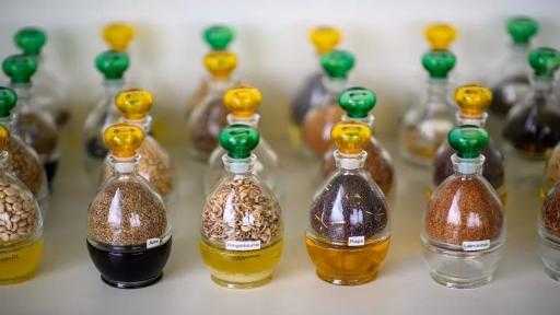 إنتاج الزيوت النباتية في روسيا يسجل مستوى قياسيًا في أكتوبر إنتاج الزيوت النباتية في روسيا يسجل مستوى قياسيًا في أكتوبر