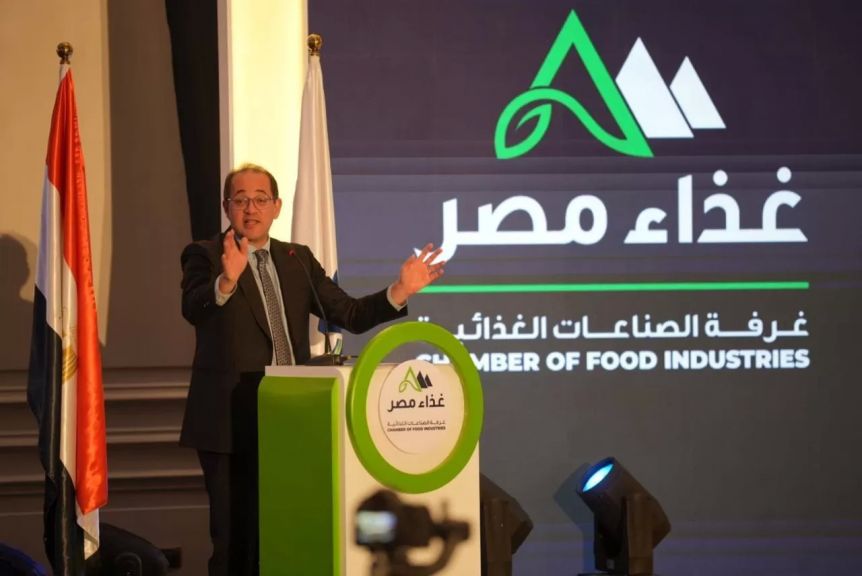 وزير المالية