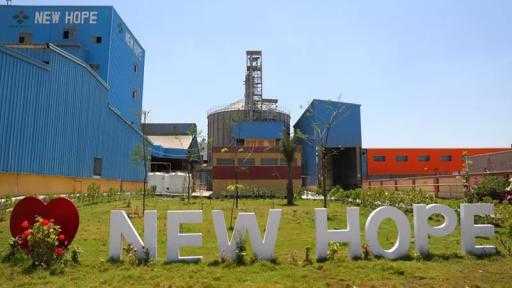 ”نيو هوب” الصينية تخطط لاستثمار ٣٥ مليون دولار لإنشاء مصنع أعلاف في... ”نيو هوب” الصينية تخطط لاستثمار ٣٥ مليون دولار لإنشاء مصنع أعلاف في مصر