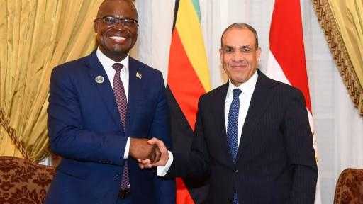 بدر عبد العاطى يلتقى وزير خارجية زيمبابوى لتعزيز التعاون الثنائى