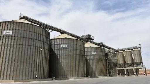 ”مستقبل مصر” يستعرض الأهداف الاستراتيجية لمجمع الصوامع وإمكاناته التكنولوجية| إنفوجراف