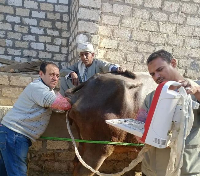 جانب من الحملات