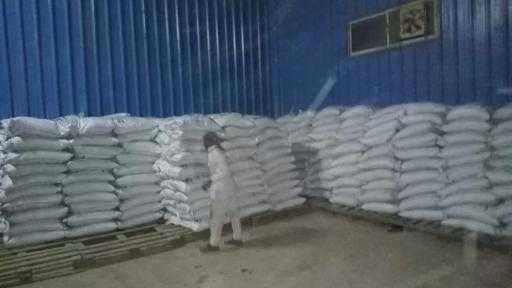 ”الزراعة” توزع 100 طن تقاوي شعير و33 ألف شتلة زيتون بمطروح