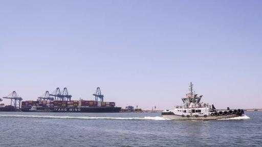 تضم ذرة وعدس وقمح.. ميناء دمياط يستقبل 73191 طنًا من البضائع