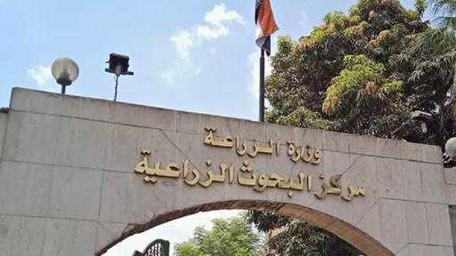 ”البحوث الزراعية” يحصل على المركز الثاني إقليميًا في تصنيف ”سيماجو” العالمي