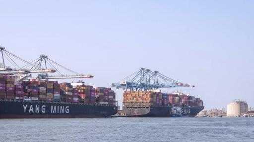 ميناء دمياط يستقبل 66 ألف طن قمح روماني لصالح القطاع العام