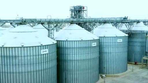 مجمع صوامع مستقبل مصر ركيزة أساسية في تأمين احتياطي الحبوب| فيديو