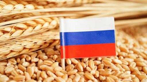 روسيا: تباطؤ صادرات الحبوب بسبب انخفاض الأسعار العالمية