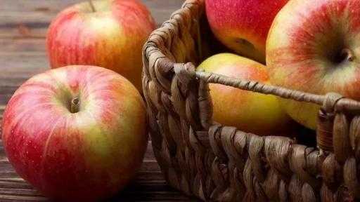 أوكرانيا تبدأ تصدير التفاح بانتظام إلى الهند بعد نجاح الشحنات التجريبية