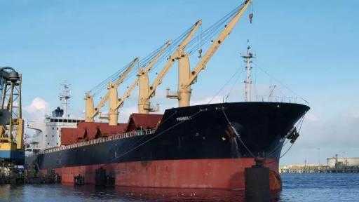 تصدير 8000 طن من المواد الغذائية إلى السودان عبر ميناء السويس تصدير 8000 طن من المواد الغذائية إلى السودان عبر ميناء السويس