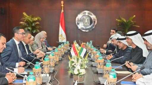 وزير الاستثمار: الصناعات النسيجية والهندسية والكيماوية ضمن القطاعات ذات الأولوية للتعاون مع الإمارات