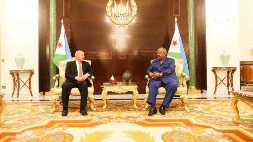 رئيس جيبوتي يرحب بتنفيذ الشركات المصرية لمشروعات البنية التحتية والنقل والمناطق الصناعية في بلاده