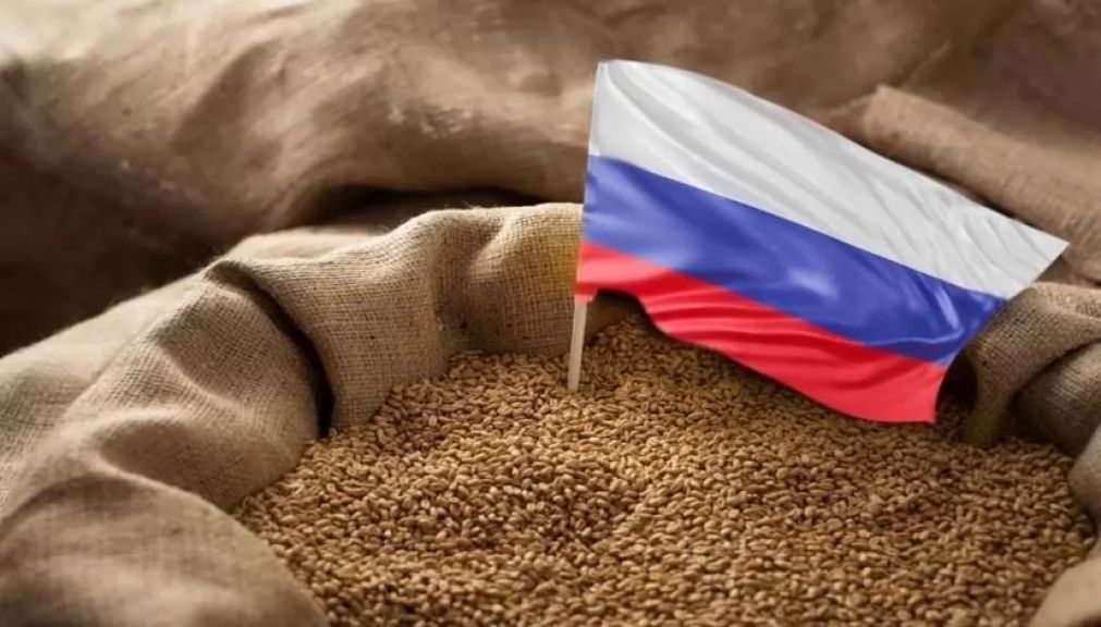روسيا تلغي رسم تصدير القمح مجددًا اعتبارًا من منتصف يناير