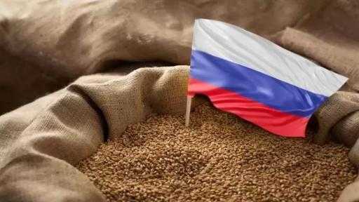 روسيا تخطط لإنشاء مصانع أغذية في الخارج لكسر جمود الصادرات الزراعية روسيا تخطط لإنشاء مصانع أغذية في الخارج لكسر جمود الصادرات الزراعية