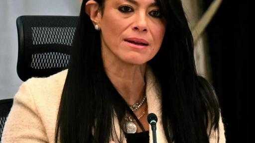 وزيرة التخطيط: نستهدف تحقيق الاقتصاد المصري نموًا بنسبة 7.5% في عام 2030