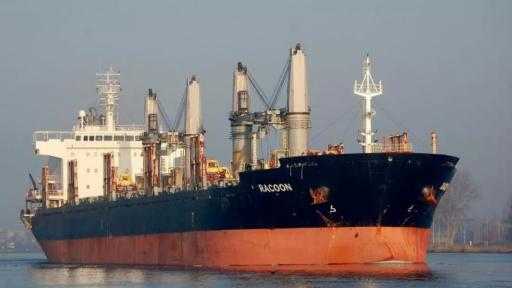 ميناء سفاجا يستقبل 33 ألف طن من الفحم البترولي الأخضر