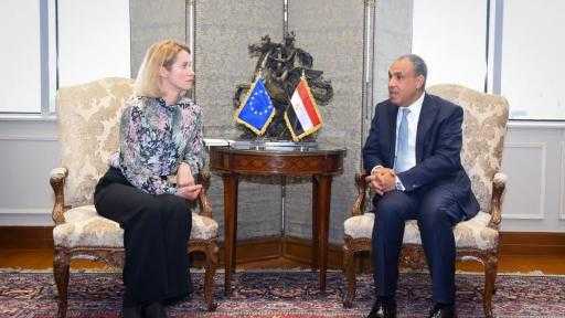 وزير الخارجية يؤكد على أهمية العمل لإزالة المعوقات أمام نفاذ السلع المصرية إلى الأسواق الأوروبية