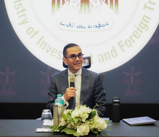 وزير الاستثمار