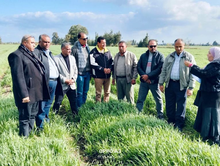 جانب من الجولة