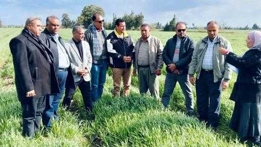 ”الزراعة” تتفقد حالة المحاصيل الشتوية بالغربية| صور