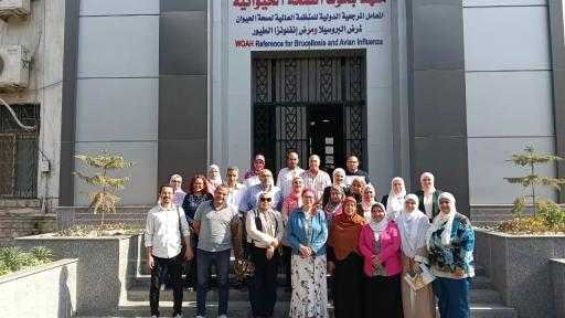 بنجاح 100%.. ”بحوث الصحة الحيوانية” يجتاز اختبارات دولية في تشخيص فيروسات الدواجن