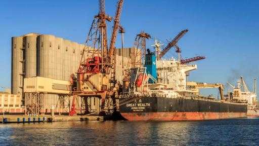 ميناء دمياط يستقبل 53 ألف طن من القمح الأوكراني لصالح القطاع العام