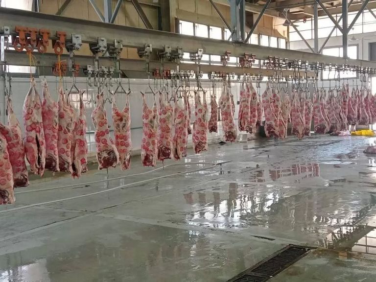 المجازر الحكومية