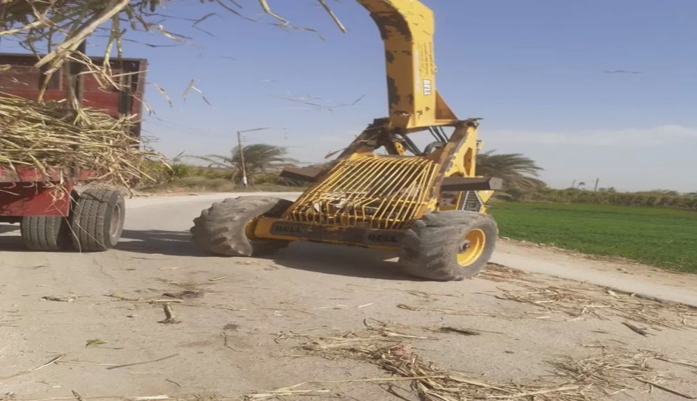 جهود الهيئة