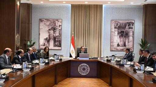 رئيس الوزراء يُوجه المحافظين بتوفير أماكن لإيواء الكلاب الضالة